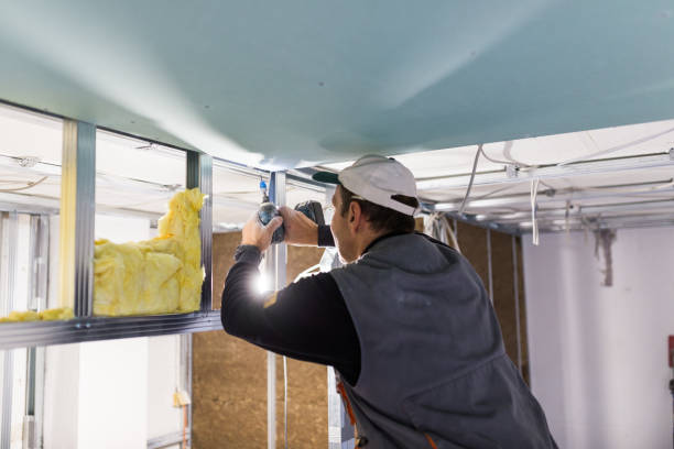 Best Geographic-Specific Insulation Services in Sparta, GA